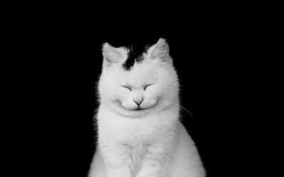 Boost Your Happiness… Here’s How