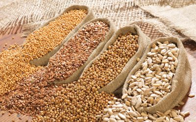 Are All Grains Created Equal?
